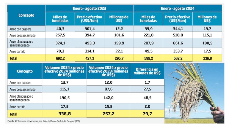 Exportación de arroz de enero a agosto de 2024 vs el mism período de 2023. MF Economía