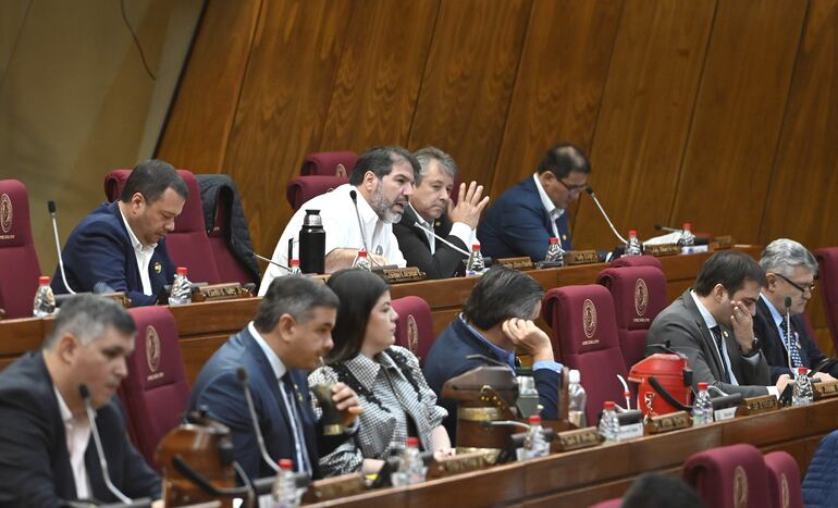 Diputado Rodrigo Blanco (PLRA, PL) de camisa blanca durante su intervención ante el pleno.