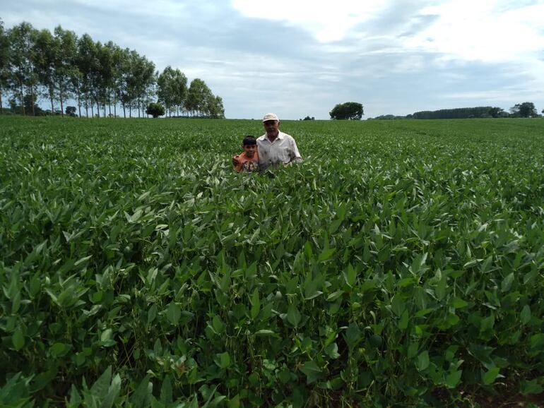 Sojal de Don Milciades Chilavert, un pequeño productor de San Pedro, en cuya finca  se realizó el acto simbólico de inicio de la campaña 2023/ 2024.