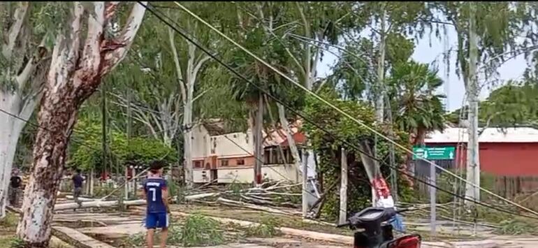 Arboles, ramas y hasta columnas de la Ande derribadas por la fuerza del viento en la tarde de hoy en Fuerte Olimpo