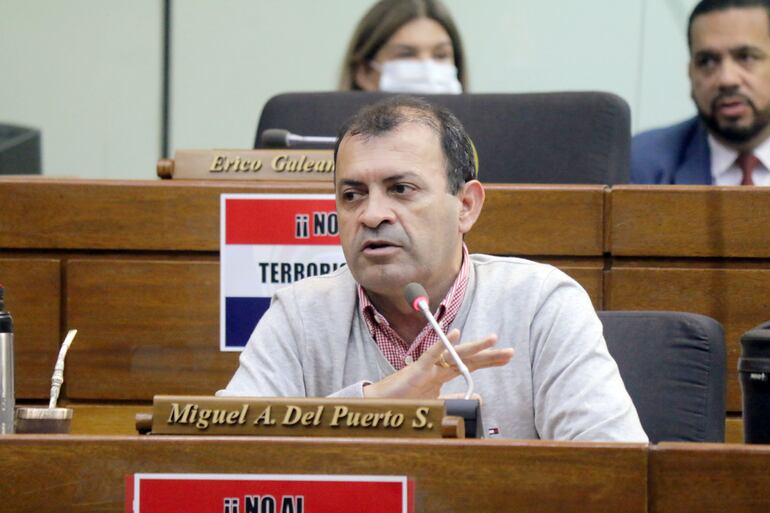 diputado miguel angel del puerto