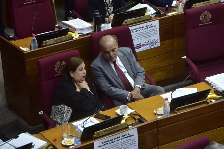 Sesion de la camara del senados en el congreso de nacional
Hoy 24 de Abril de 2024
Gustavo Machado. Esperanza Martínez y Basilio Núñez Bachi