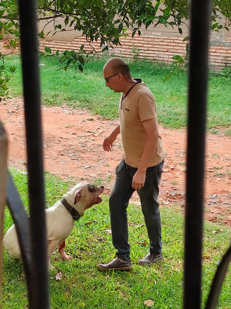 El pitbull ya atacó a varias mascotas del bario Thompson de Ypané.