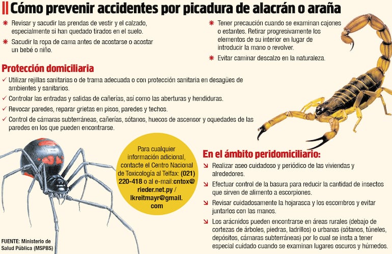 Salud Pública sin antídotos en plena temporada de arañas y alacranes