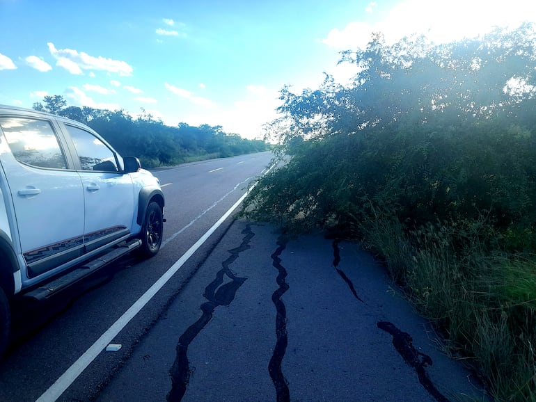 En varios kilómetros del camino no se pueden utilizar las banquillas para casos de emergencia debido a estas malezas.