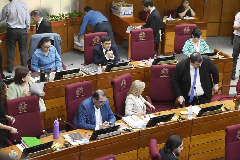 La Cámara de Senadores analizará el proyecto de ley de tobilleras electrónicas en su sesión ordinaria de la fecha.