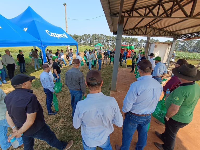 La zona de Rio Grande Do Sur, se ha convertido en una de las áreas más productoras de canola en Brasil.