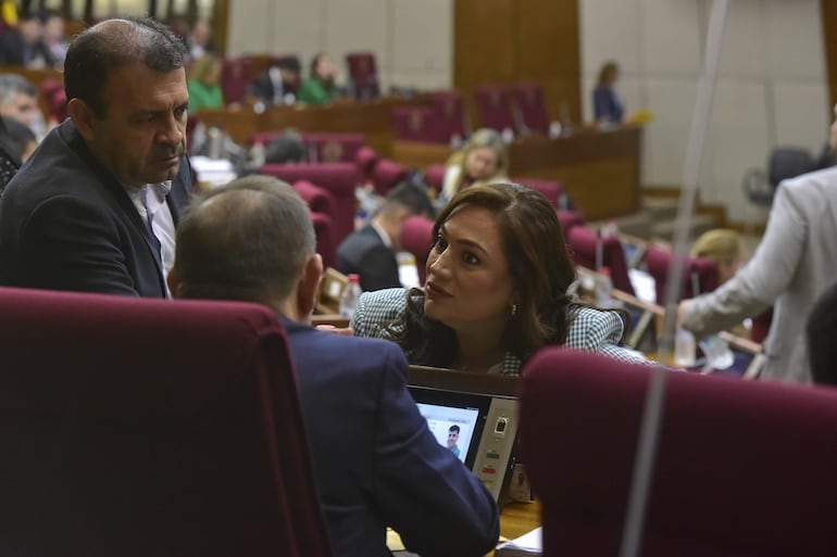 Sesión de la Cámara de Diputados.