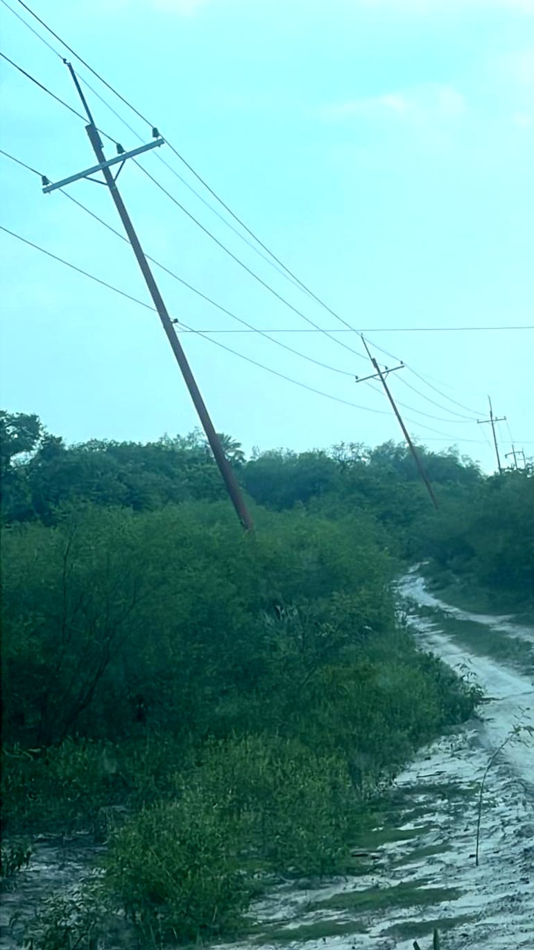 Así se encuentra la línea del tendido eléctrico de la ANDE en varios sectores de la zona, razón de los reiterados cortes.