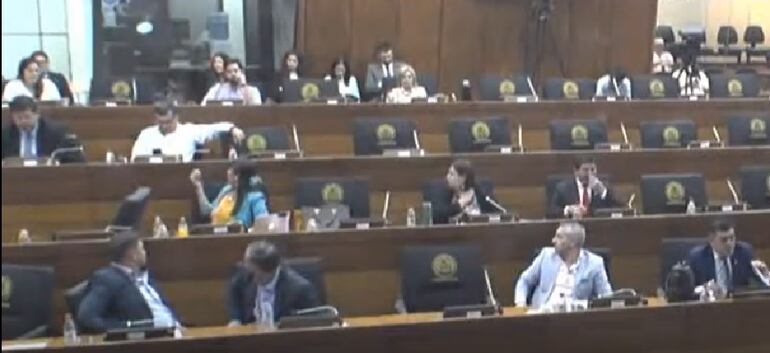 Momento en el que la senadora Celeste Amarilla increpa al diputado Yamil Esgaib por supuestamente amenazarle de darle una trompada si no se callaba.