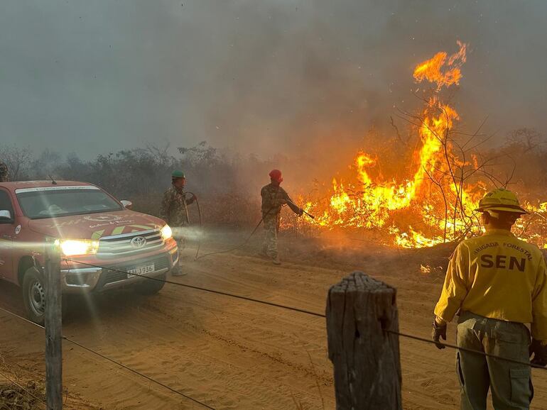 Fotos recientes del combate a los incendios forestales en la zona de Cerro Chovoreca. Trabajaron en el lugar personal del III Cuerpo del Ejército y la 6ª División de Infantería, en apoyo a los Bomberos y la Brigada Forestal de la SEN.