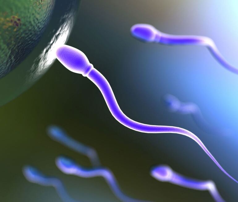 Las empresas emergentes suizas Impli y Yalosys, en asociación con el centro helvético de innovación tecnológica CSEM, han desarrollado un biosensor implantable que permite monitorizar las hormonas de la fertilidad en tiempo real, un gran avance que se espera pueda utilizarse en ensayos clínicos para 2025.