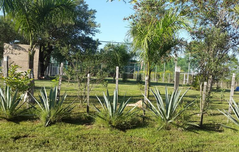 Abril de 2019. Imagen de la casa de verano de Bachi y su pareja en la zona  de Río Verde.