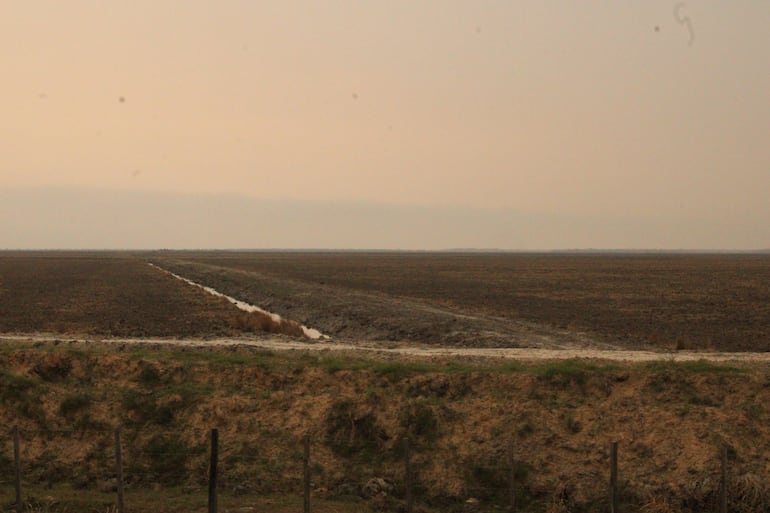 La tierra está lista para la nueva siembra de arroz  en la zona de Ñeembucú.