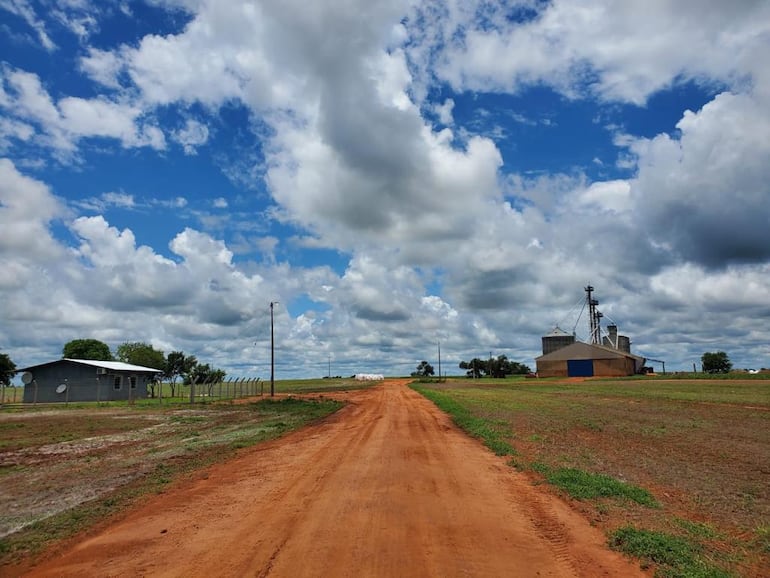 La casa del guardia se sitúa en la vera del acceso y a unos metros del silo de donde llevaron unos 100 000 kg de soja