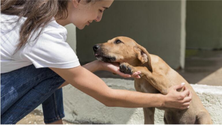 Mujer con perrito