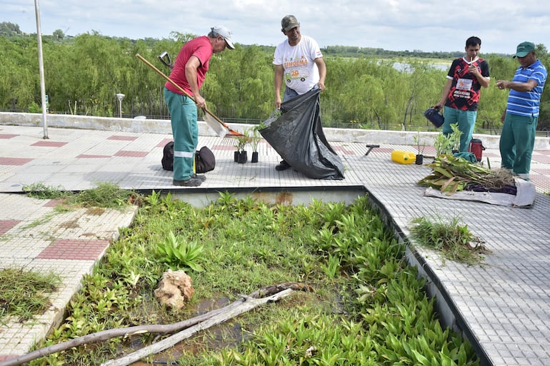 Funcionarios municipales trabajando en el Paseo de la Guarania.