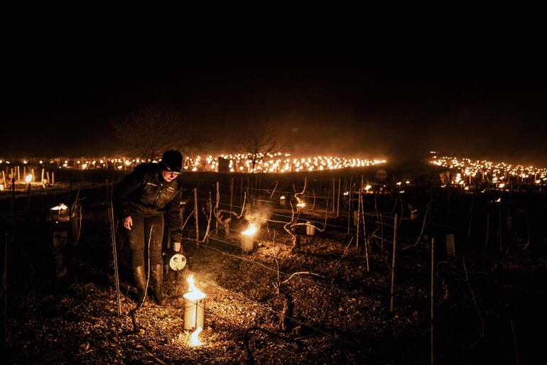 Un viticultor de la finca vinícola Daniel-Etienne Defaix enciende velas antiheladas en su viñedo cerca de Chablis, Borgoña, el 7 de abril de 2021, mientras las temperaturas caen por debajo de cero grados Celsius durante la noche.