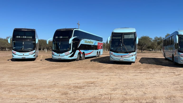 Buses nuevos que fueron integrados a la flota del departamento de Boquerón.