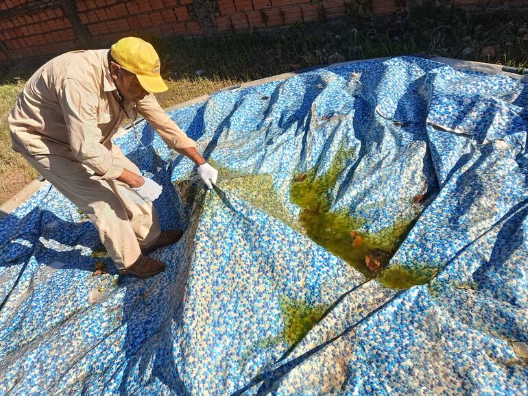 Instan a eliminar periódicamente posibles criaderos de mosquitos.