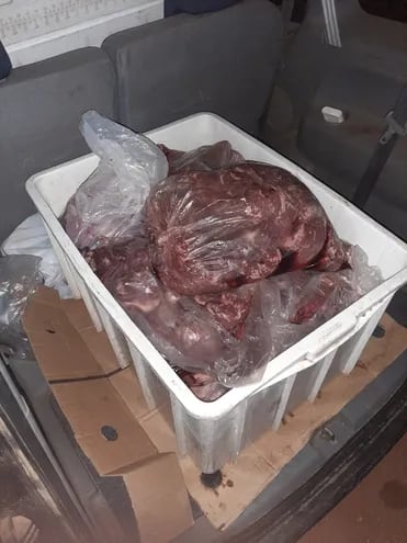 Carne de dudosa procedencia era supuestamente para un frigorífico de Limpio.