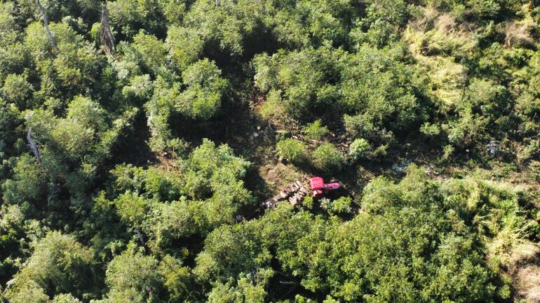 Los tractocamiones operaron sin ningún problema. Varios hombres en pleno bosques, preparando los rollos. 