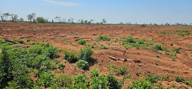 Fiscalía formula imputación por transgresión a la ley ambiental en Nueva Germania