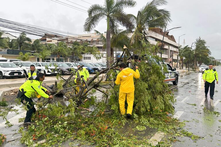 Policías y miembros de Protección Civil levantan árboles caídos tras el paso del huracán Berly, este viernes, en el municipio de Tulum, en Quintana Roo (México).