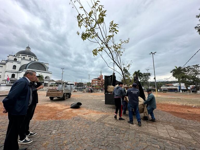 Caacupé: 12 plantones fueron colocados en la explanada de la Basílica