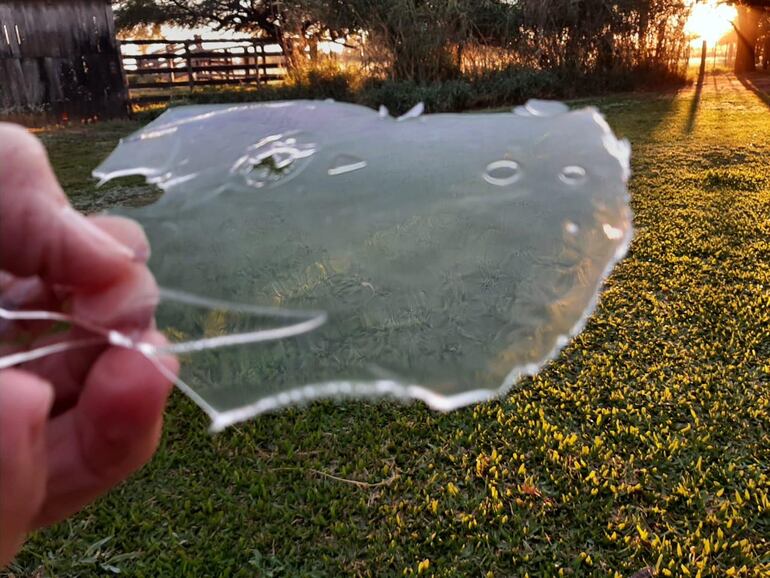 Imagen del 2021, en la zona de Lolita, cuando la helada cubrió gran parte de la vegetación. 