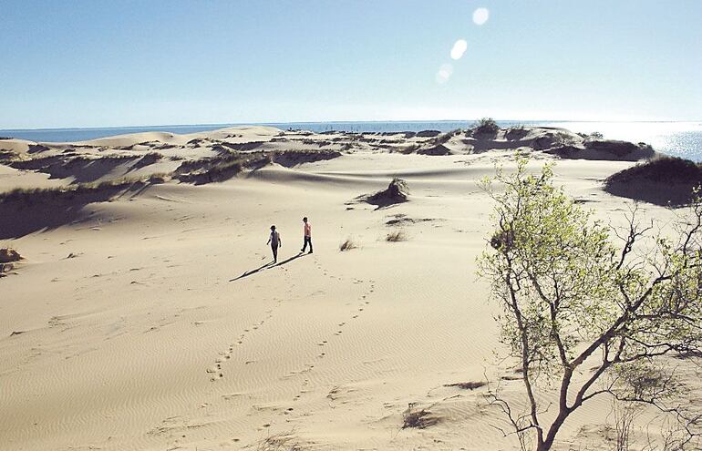 Así lucían las dunas de San Cosme y San Damián en 2018.