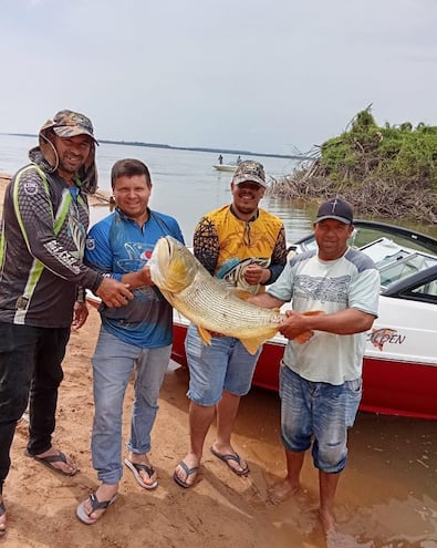 Paso de Patria: un grupo de pescadores exhiben la presa más codiciada del río Paraná, el Dorado.