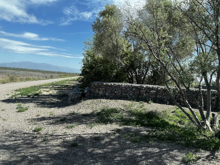 La conocida calle Cobos en Luján de Cuyo, frente a la bodega Alpamanta.