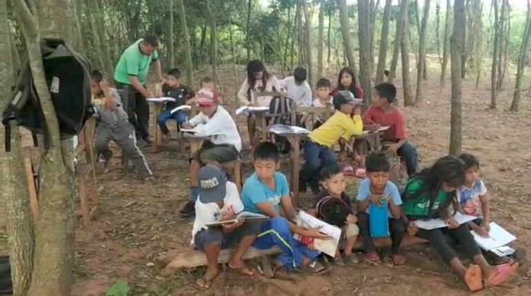 Un grupo de niños y niñas desarrollan sus clases de bajo de los árboles