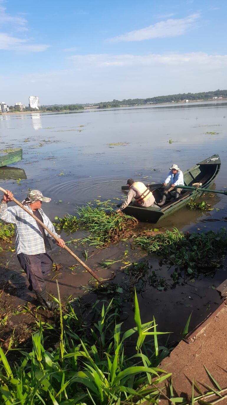 Inician limpieza en el sub embalse del Potî'y