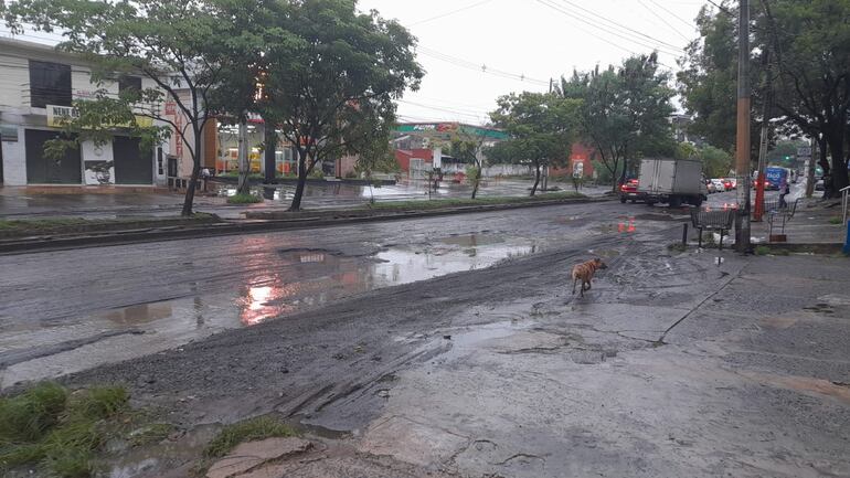 Mal estado de la avenida Fernando de la Mora.