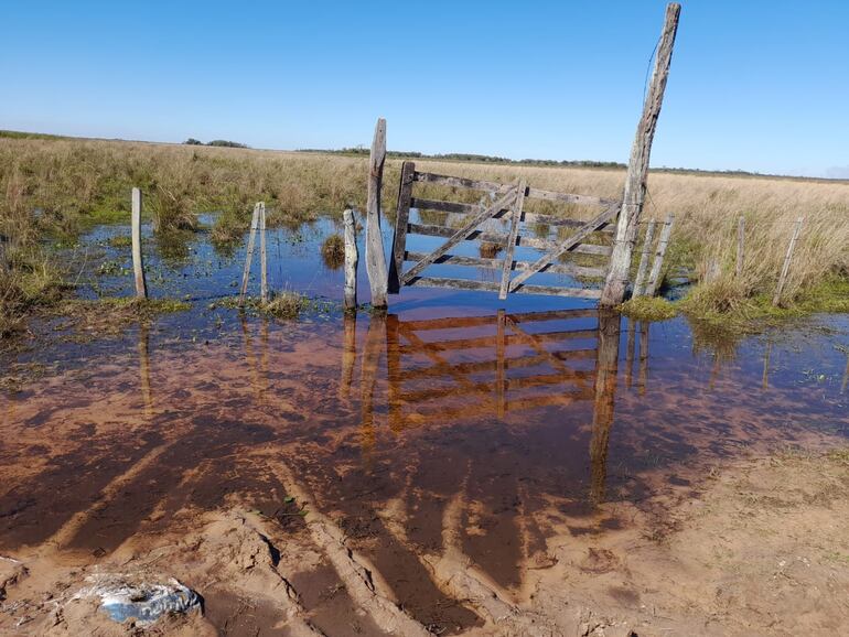 A cinco meses de la inundación que afectó a varios distritos de Ñeembucú, los pequeños productores aún aguardan la ayuda del Gobierno Nacional.