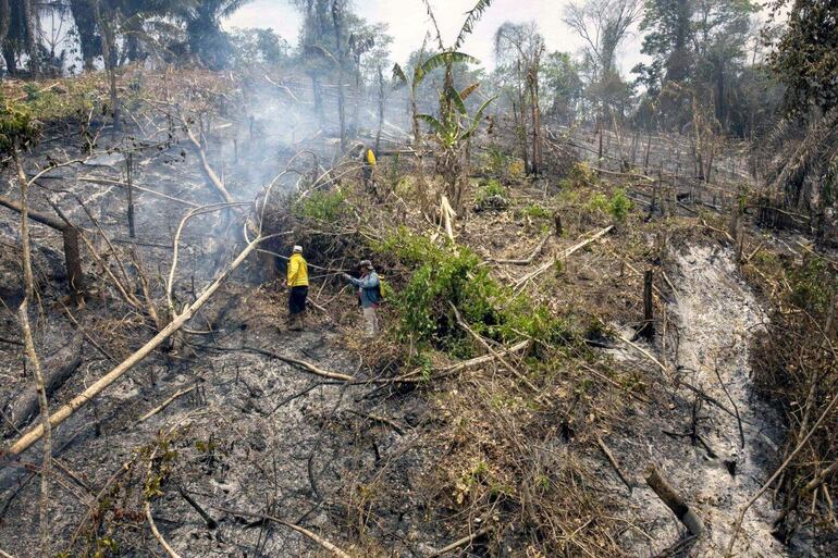 Bomberos voluntarios combaten el fuego en la región de Rurrunabaque, departamento de Beni, Bolivia. (AFP)