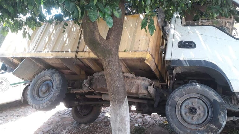 Arbol evitó una tragedia en la localidad de Villa Elisa, un camión quedó sin frenos y su conductora se tiró al pavimento.