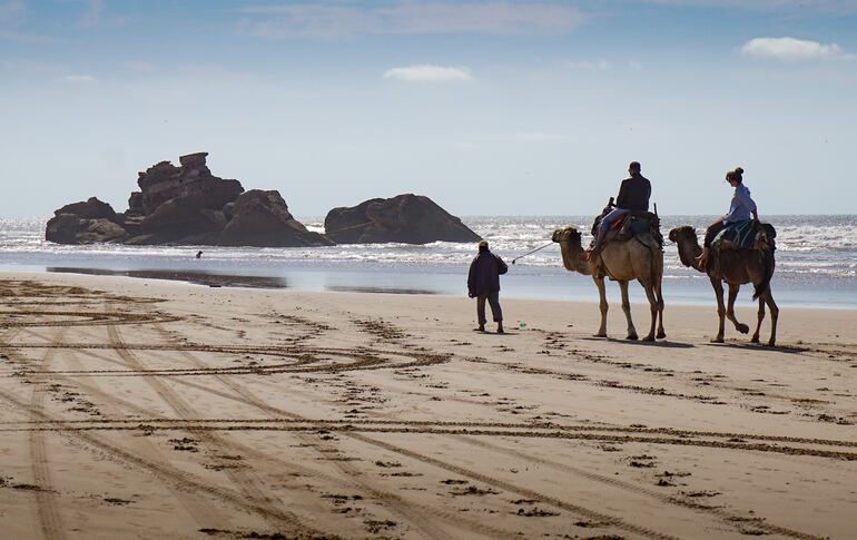 Camellos son obligados a transportar turistas de más de 100 kilos.