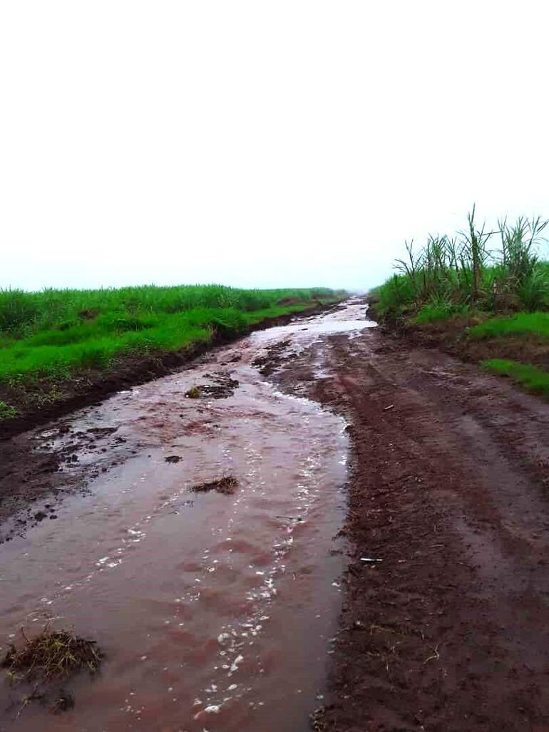 La intendenta colorada María Cristina Servín, aseguró que en esa zona los camiones de gran porte son los que destruyen los caminos rurales.