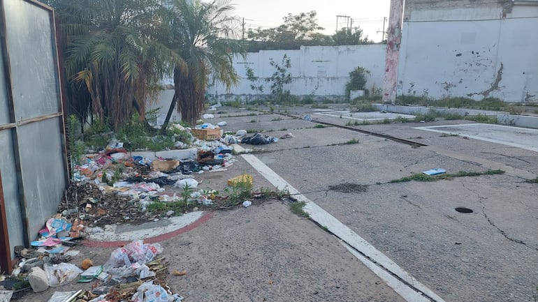 Preocupa proliferación de mosquitos en un vertedero clandestino sobre la avenida Artigas.