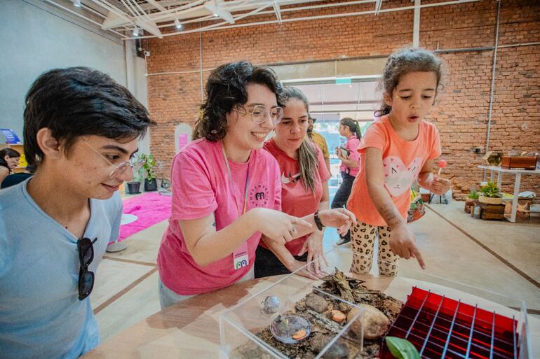 El sitio cuenta con guías especiales que ayudan a profundizar acerca de las diferentes actividades.