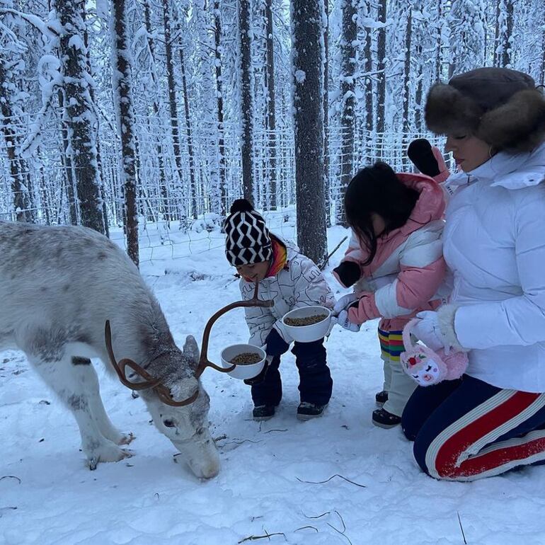 Georgina Rodriguez con los más pequeños de la casa, dando de comer a un reno. (Instagram/Georgina Rodríguez). Los investigadores han descubierto que cuanto más tiempo pasan los renos rumiando, menos tiempo pasan en sueño sin movimientos oculares rápidos (no-REM), según publican en la revista ‘Current Biology’.