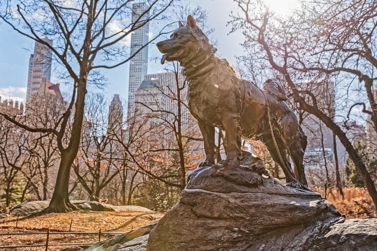 Estatua de bronce en honor a Balto, el husky siberiano valiente. Central Park, Nueva York.