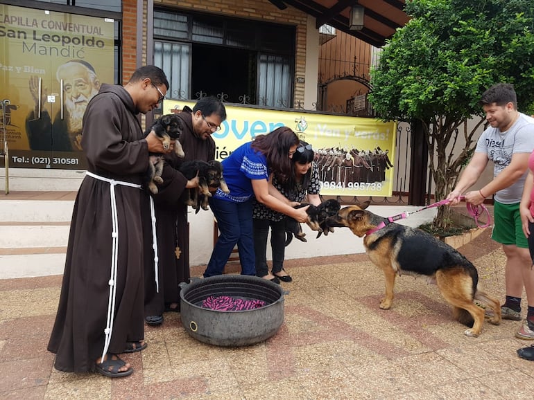 Bendición anual de las mascotas con los Hnos. Capuchinos