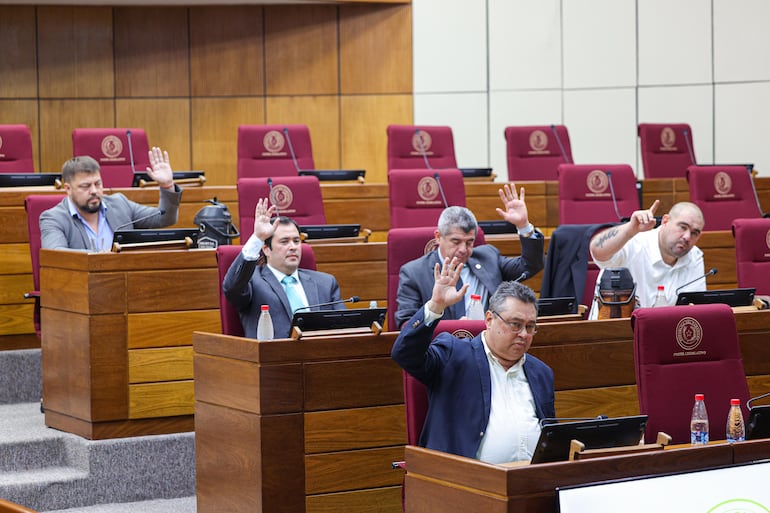 Comisión Garrote. Foto Prensa Senado.