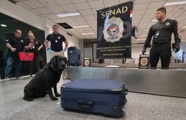 "Rocky" el agente canino de la Senad, logró incautar cocaína en el aeropuerto Silvio Pettirossi.