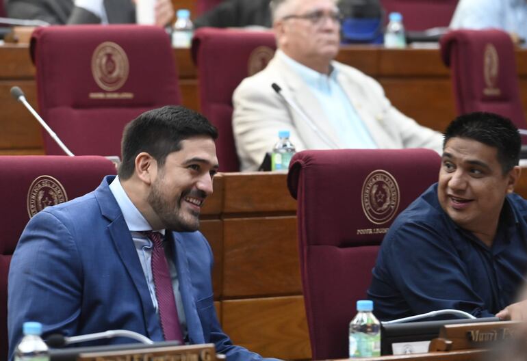 El diputado Mauricio Espínola (izq) junto a su correligionario oficialista Hugo Meza. 