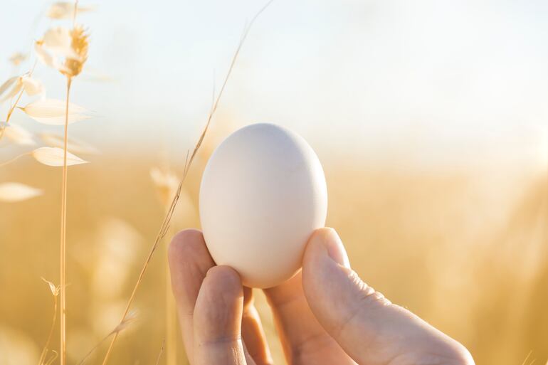 Evitar consumir los huevos rotos o resquebrajados.